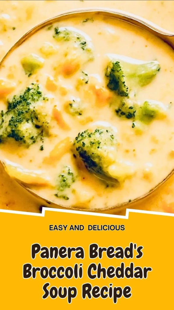 Copycat Panera Bread's Broccoli Cheddar Soup Recipe